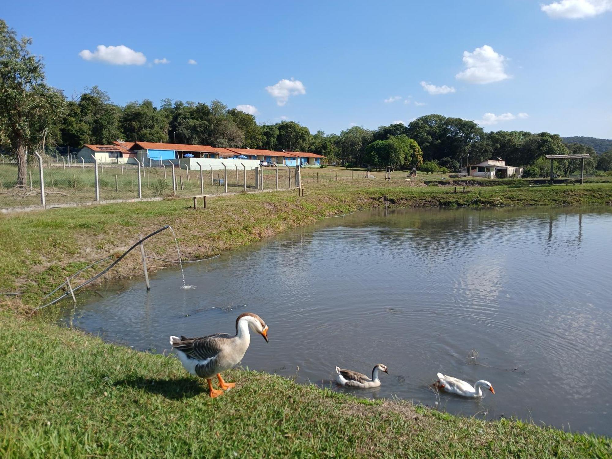 Hotel Fazenda Recanto Do Monte Alegre Piraju Exteriér fotografie