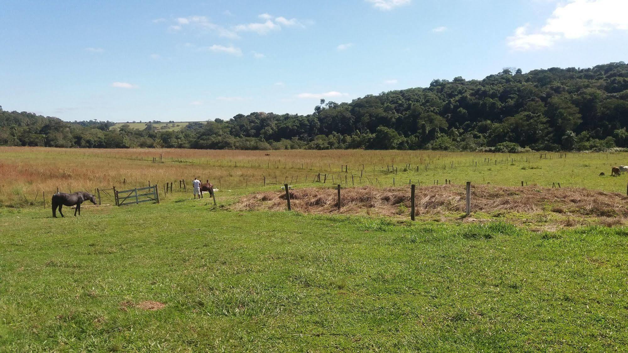 Hotel Fazenda Recanto Do Monte Alegre Piraju Exteriér fotografie